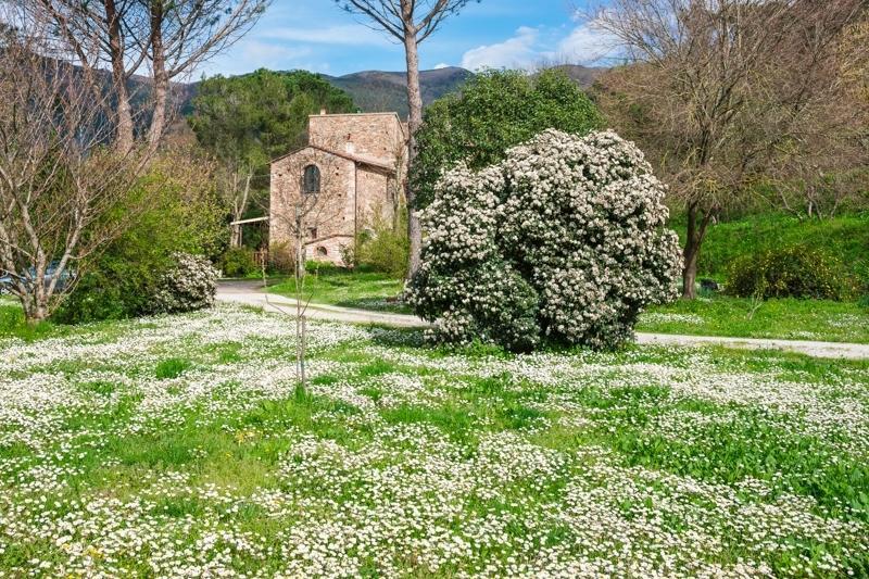 Il Molendino Pisa B&B Калчи Екстериор снимка