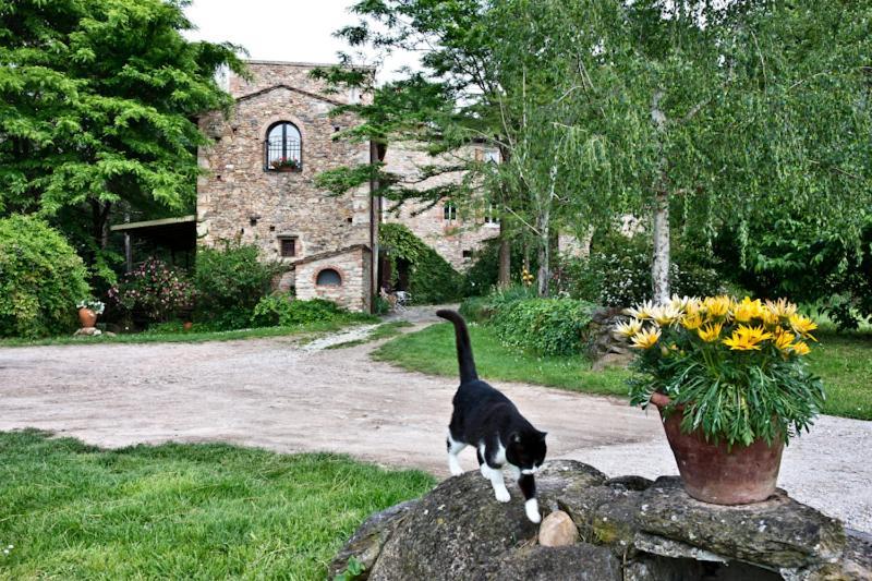 Il Molendino Pisa B&B Калчи Екстериор снимка