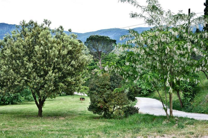 Il Molendino Pisa B&B Калчи Екстериор снимка