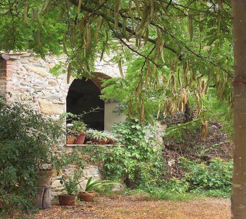 Il Molendino Pisa B&B Калчи Екстериор снимка